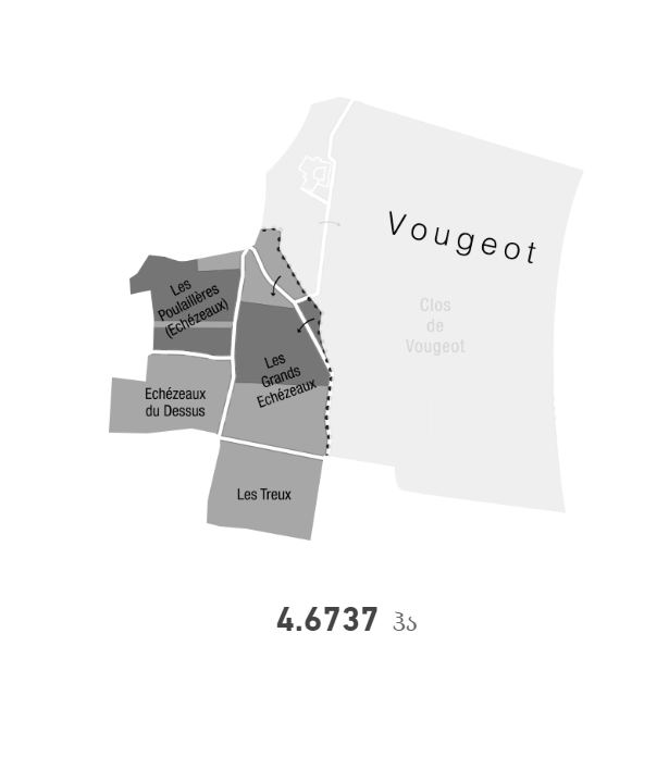 Domaine De La Romanee-Conti
